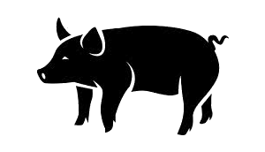 Swine Feeds premium suppliers   India